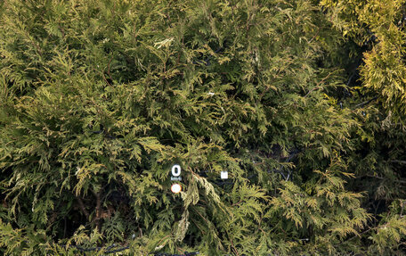 Haval F7, 2026 год, 3 699 000 рублей, 19 фотография