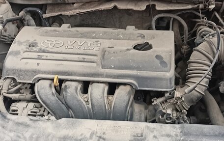 Toyota Corolla, 2003 год, 430 000 рублей, 1 фотография