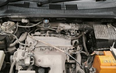 Toyota Ipsum II, 1999 год, 560 000 рублей, 1 фотография