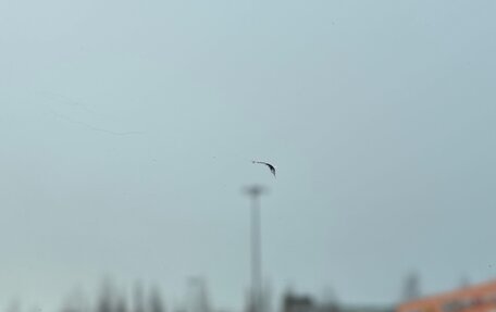 Renault Logan I, 2007 год, 250 000 рублей, 23 фотография