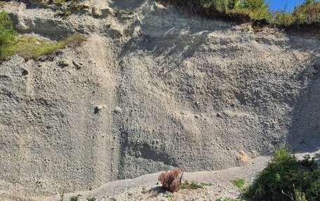 Hyundai Solaris II рестайлинг, 2021 год, 1 фотография