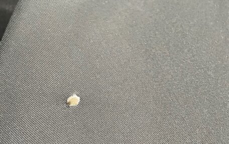 Renault Sandero II рестайлинг, 2015 год, 850 000 рублей, 14 фотография