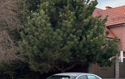 Mitsubishi Galant VIII, 2003 год, 390 000 рублей, 1 фотография