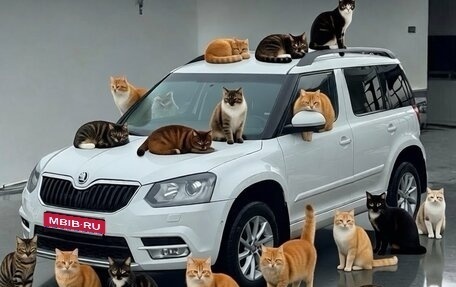 Skoda Yeti I рестайлинг, 2014 год, 1 100 000 рублей, 1 фотография