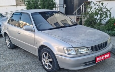 Toyota Corolla, 1999 год, 370 000 рублей, 1 фотография
