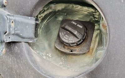 Honda Element I, 2004 год, 800 000 рублей, 1 фотография