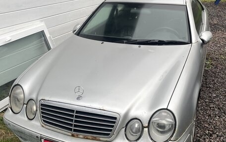 Mercedes-Benz CLK-Класс, 1999 год, 350 000 рублей, 1 фотография