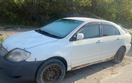 Toyota Corolla, 2003 год, 250 000 рублей, 4 фотография