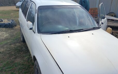 Toyota Corolla, 1997 год, 60 000 рублей, 2 фотография