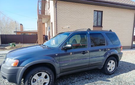 Ford Escape II, 2001 год, 780 000 рублей, 4 фотография