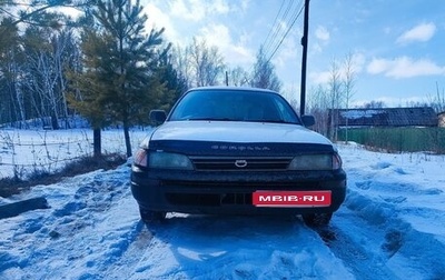 Toyota Corolla, 2001 год, 300 000 рублей, 1 фотография