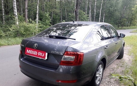 Skoda Octavia, 2017 год, 1 550 000 рублей, 2 фотография