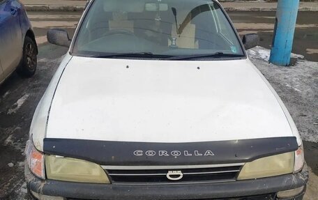 Toyota Corolla, 2001 год, 300 000 рублей, 2 фотография