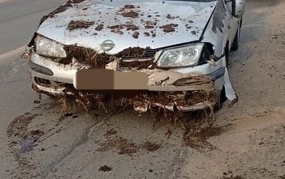 Nissan Almera, 2000 год, 110 000 рублей, 1 фотография