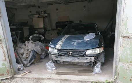 Toyota Camry Solara I, 1999 год, 350 000 рублей, 3 фотография