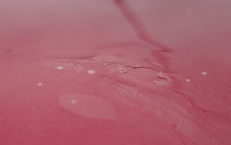 Peugeot 207 I, 2008 год, 405 000 рублей, 14 фотография