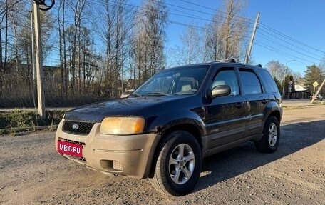 Ford Escape II, 2001 год, 252 000 рублей, 1 фотография