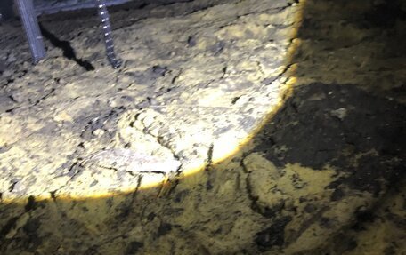 Volkswagen Bora, 2000 год, 220 000 рублей, 6 фотография