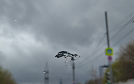 KIA Sportage III, 2015 год, 1 950 000 рублей, 6 фотография