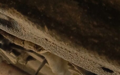 Subaru Forester, 2000 год, 490 000 рублей, 19 фотография