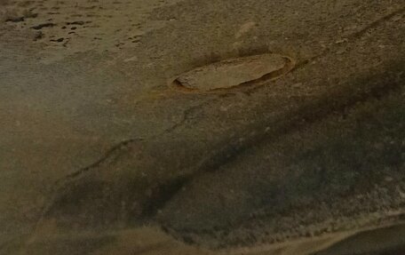 Subaru Forester, 2000 год, 490 000 рублей, 20 фотография