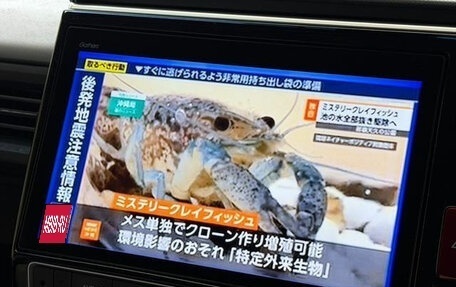 Honda Stepwgn IV, 2019 год, 1 900 000 рублей, 22 фотография