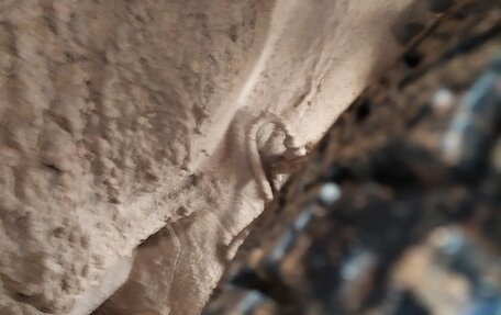 Honda CR-V IV, 1998 год, 282 000 рублей, 7 фотография