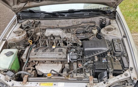 Toyota Corolla, 2001 год, 400 000 рублей, 10 фотография