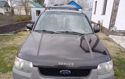 Ford Escape II, 2002 год, 420 000 рублей, 1 фотография