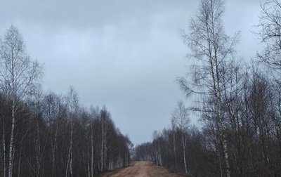 Mercedes-Benz C-Класс, 2000 год, 150 000 рублей, 1 фотография