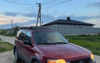 Ford Escape II, 2003 год, 600 000 рублей, 1 фотография