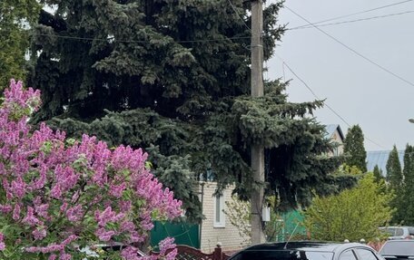 Ford Focus II рестайлинг, 2007 год, 570 000 рублей, 4 фотография