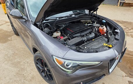 Alfa Romeo Stelvio, 2019 год, 3 150 000 рублей, 9 фотография