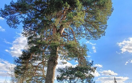 Nissan Almera, 2004 год, 440 000 рублей, 11 фотография