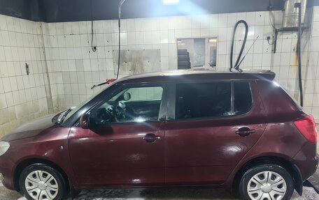 Skoda Fabia II, 2010 год, 450 000 рублей, 3 фотография