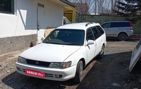 Toyota Corolla, 1999 год, 270 000 рублей, 1 фотография