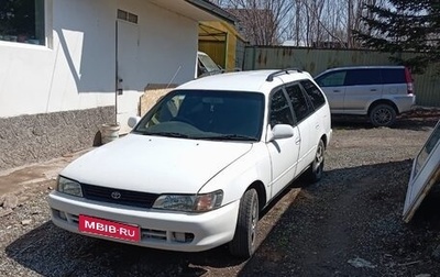 Toyota Corolla, 1999 год, 270 000 рублей, 1 фотография