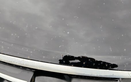 Hyundai Sonata VI, 2005 год, 590 000 рублей, 21 фотография