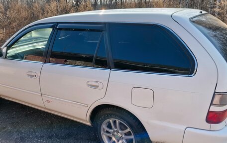 Toyota Corolla, 1997 год, 350 000 рублей, 5 фотография