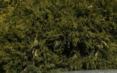 Haval F7x, 2026 год, 3 799 000 рублей, 19 фотография