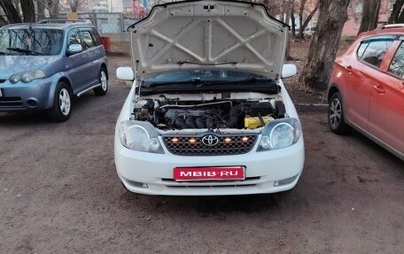 Toyota Corolla, 2001 год, 650 000 рублей, 1 фотография