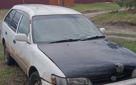 Toyota Corolla, 2000 год, 110 000 рублей, 2 фотография