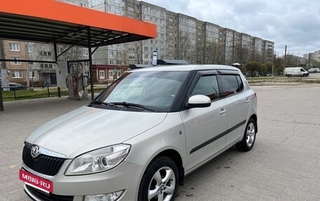 Skoda Fabia II, 2013 год, 850 000 рублей, 8 фотография