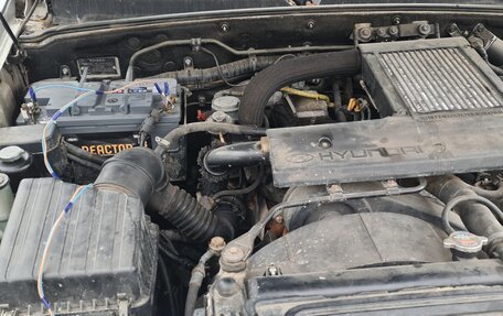 Hyundai Terracan I, 2001 год, 400 000 рублей, 4 фотография