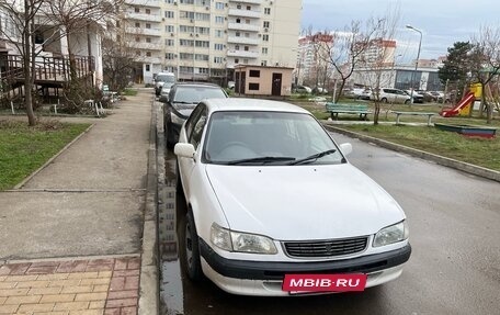 Toyota Corolla, 2000 год, 3 фотография