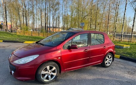 Peugeot 307 I, 2006 год, 300 000 рублей, 11 фотография