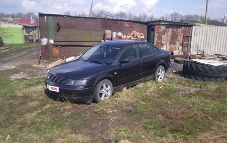Volkswagen Passat B5+ рестайлинг, 1998 год, 100 000 рублей, 3 фотография