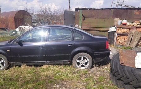 Volkswagen Passat B5+ рестайлинг, 1998 год, 100 000 рублей, 6 фотография