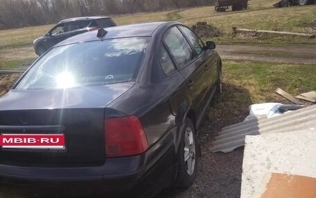 Volkswagen Passat B5+ рестайлинг, 1998 год, 100 000 рублей, 2 фотография