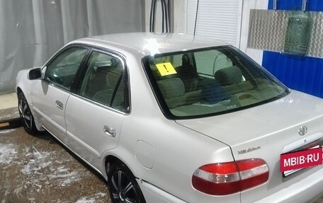 Toyota Corolla, 1999 год, 370 000 рублей, 3 фотография